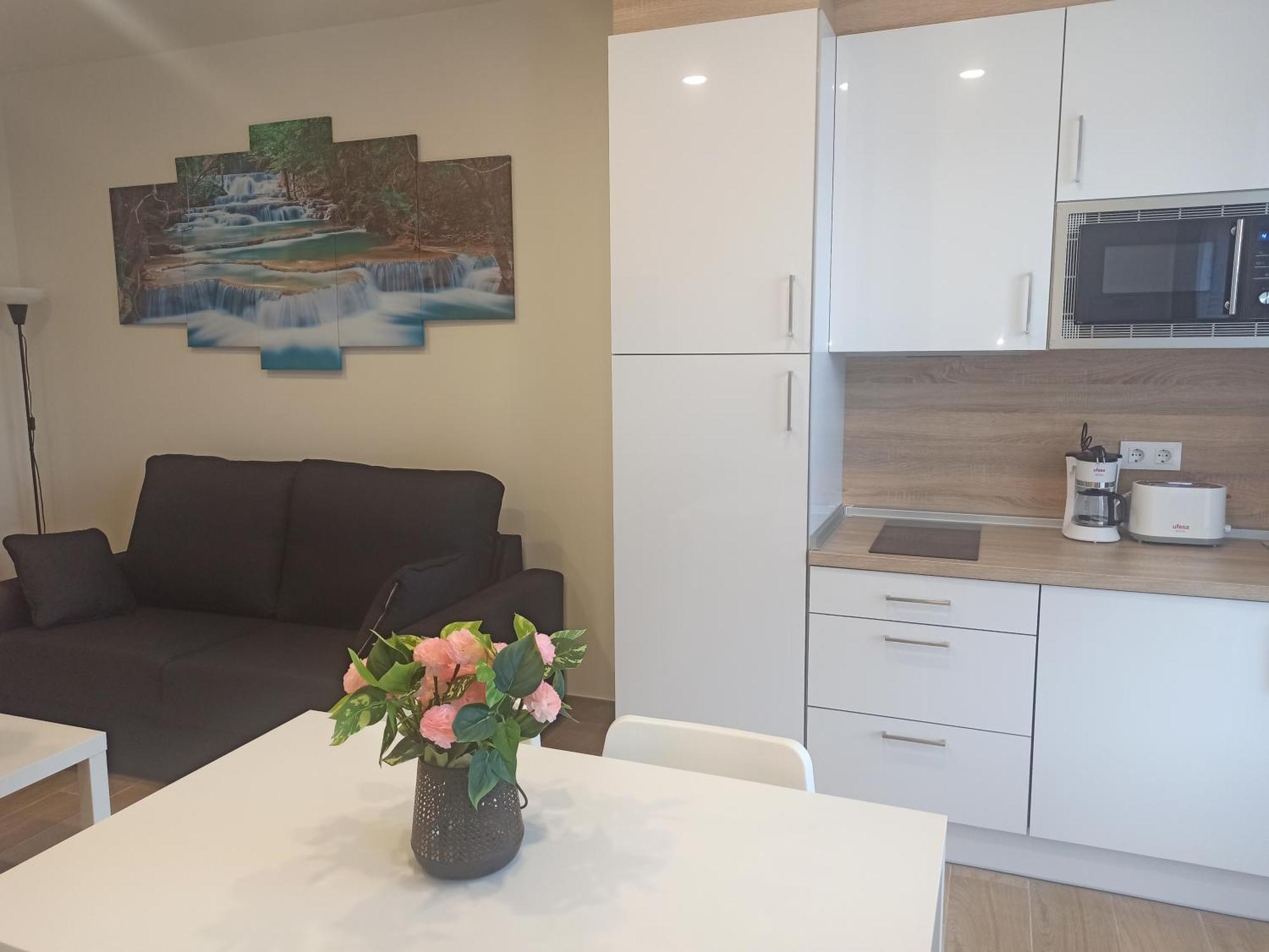 Silgar Plaza Appartement